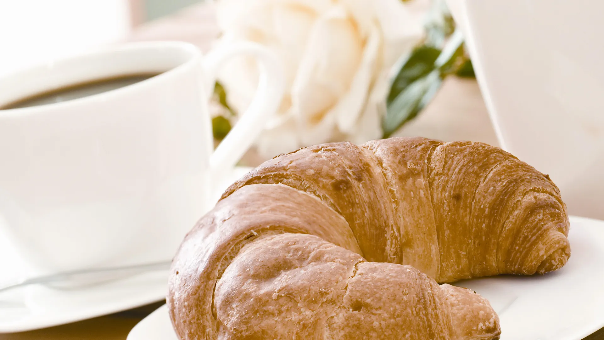 Holiday Inn Express Antwerpen City North By Ihg Belgium